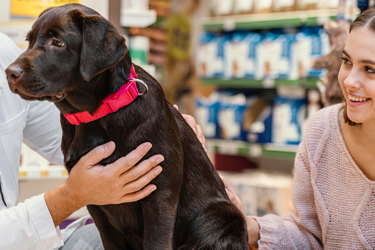 Prodotti Veterinari Farmacia Menconi Marsciano